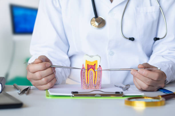 Best Emergency Orthodontic Repairs in Horace, ND